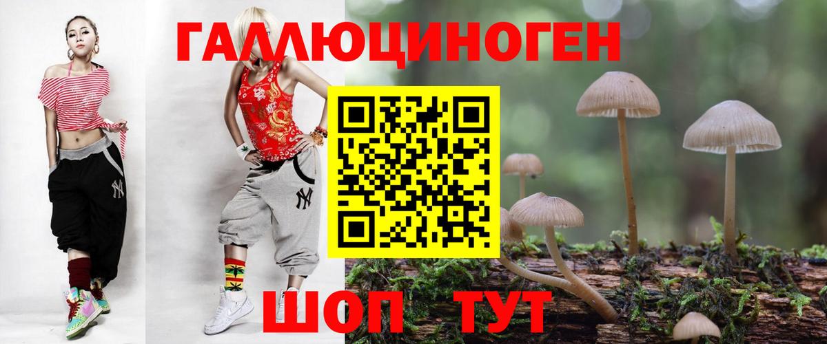 Псилоцибиновые грибы прущие грибы Чехов